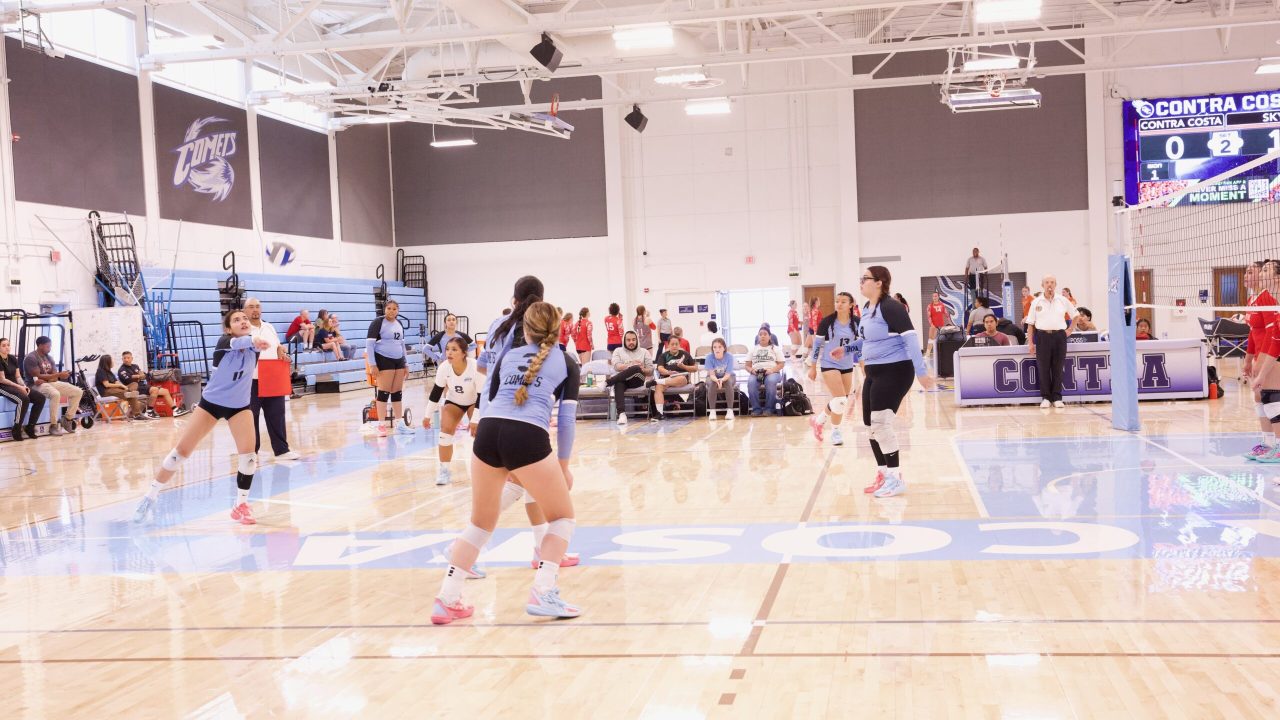 VOLLEYBALL 92625 (7)