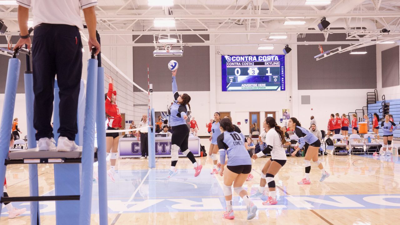 VOLLEYBALL 92625 (96)