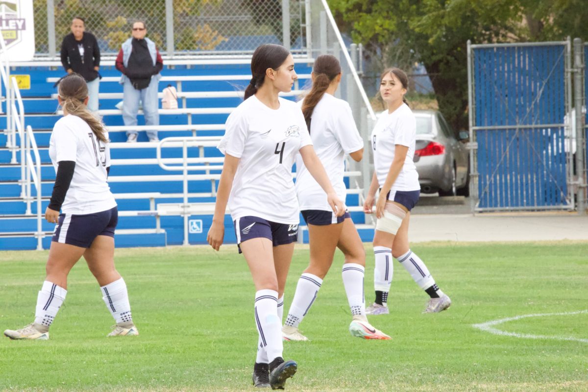 W SOCCER 93025 (919)